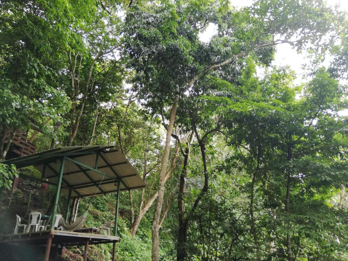 La Montanita Lodge Manuel Antonio Bagian luar foto